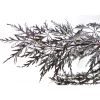 Acero palmato dissectum Garnet mezzo fusto h 130 cm