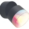 Applique da parete da esterno Dropsi Smart Home 9,5 W 690 lm CCT RGB antracite