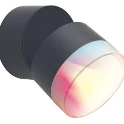 Applique da parete da esterno Dropsi Smart Home 9,5 W 690 lm CCT RGB antracite
