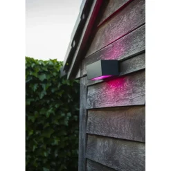 Applique da parete da esterno Gemini Smart Home 17 W 900 lm RGB antracite