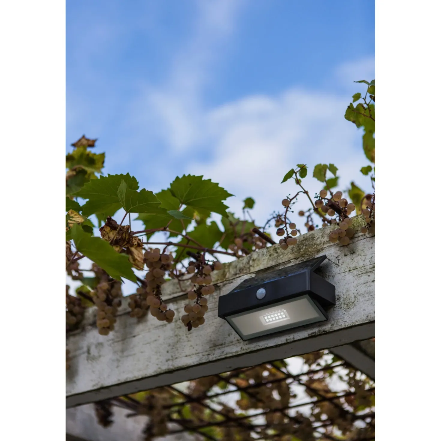 Applique solare Lutec Arrow con sensore