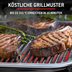 Barbecue elettrico Weber Lumin Compact nero