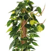 Bastone muschiato 80 cm Ø 50 mm