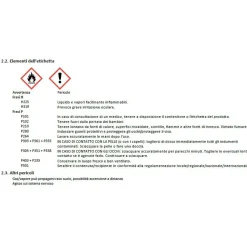 Bioetanolo Domestix Qlima 2 l