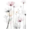 Canvas stampato immagine papaveri 1 dimensioni 60x80 cm