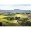 Canvas stampato Tuscany 85x113 cm