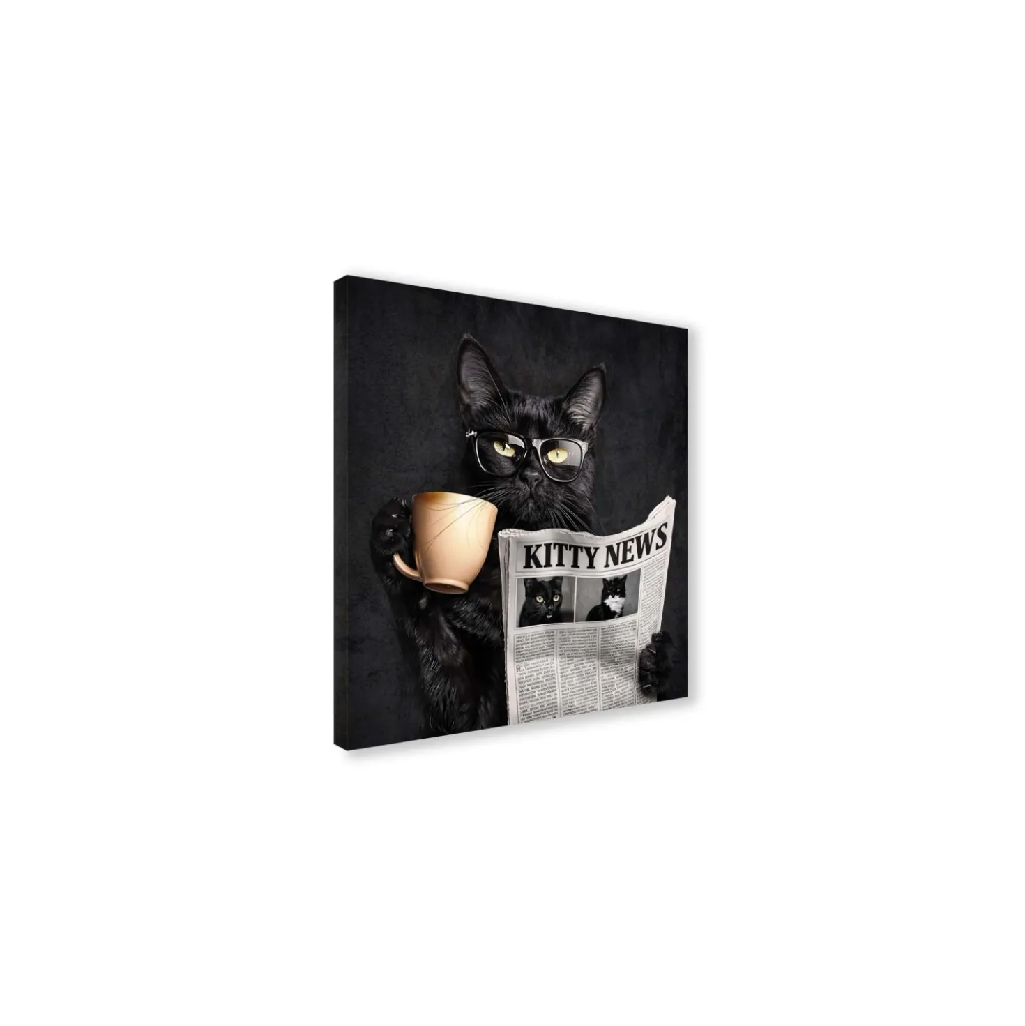 Canvas 30x30 cm black cat