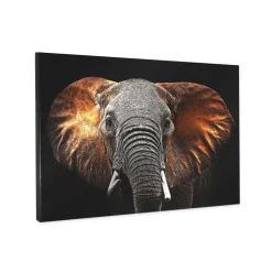 Canvas 60x80 cm elephant