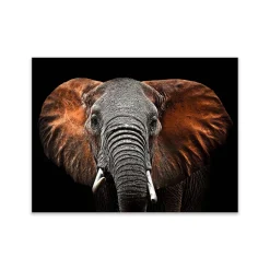 Canvas 60x80 cm elephant