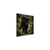 Canvas 30x30 cm set animali - puma