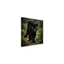 Canvas 30x30 cm set animali - puma