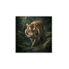 Canvas 30x30 cm set animali - tigre