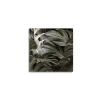 Canvas 30x30 cm set foglie a