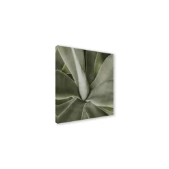 Canvas 30x30 cm set foglie b