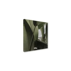 Canvas 30x30 cm set foglie c
