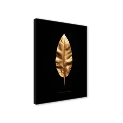 Canvas 30x40 cm set oro - banano