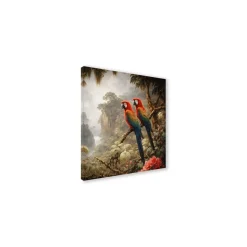Canvas 30x30 cm set parrots - coppia