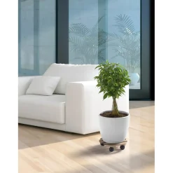 Carrello portapiante liscio rotondo Ø 30 cm faggio