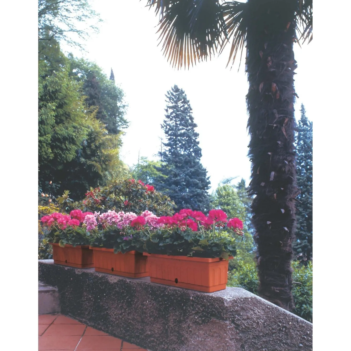 Cassetta Itaca con sottocassetta 80x20x17 cm in plastica terracotta