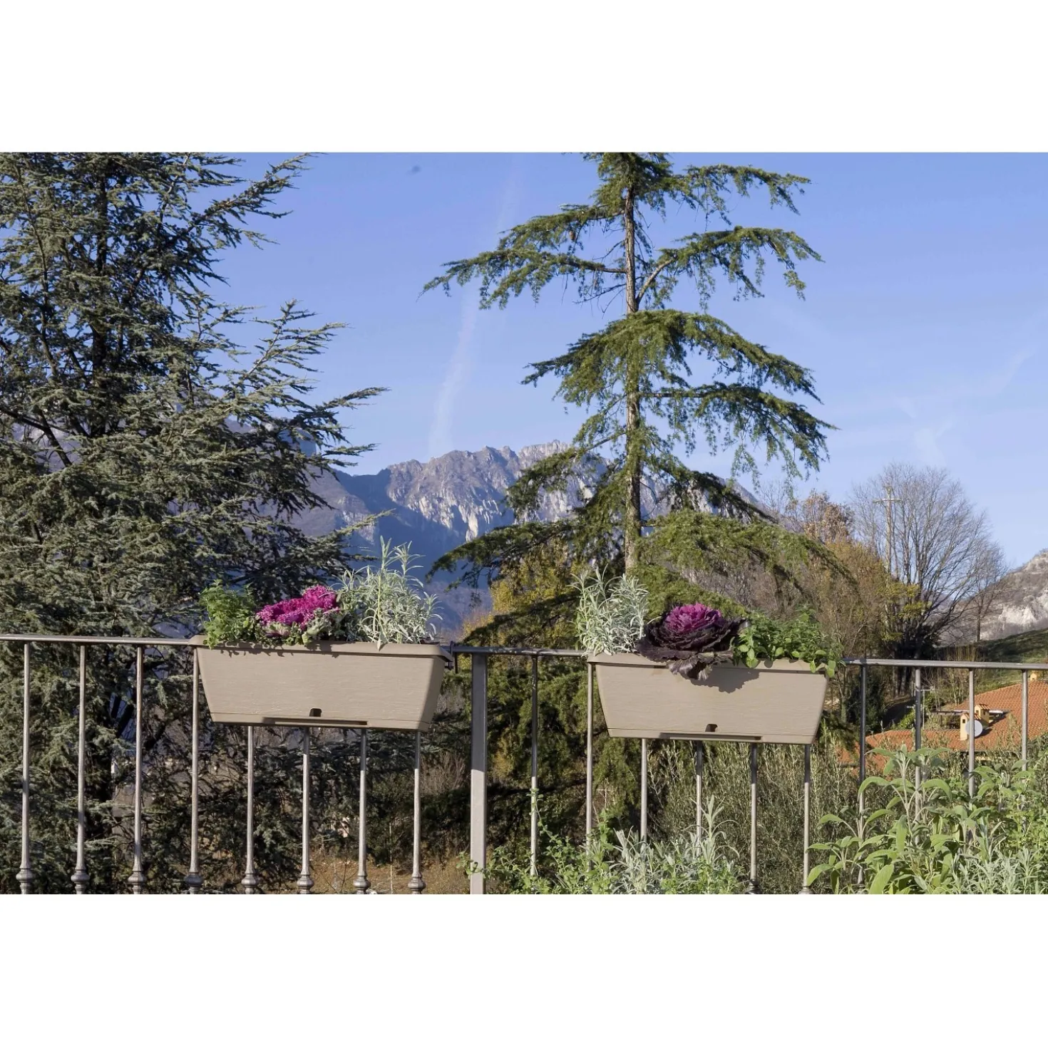 Cassetta Terrae con sottocassetta in plastica 40x20x16,7 cm beige scuro