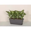 Cassetta Unica in plastica 40x20x16,4 cm Grigio Fumo Light