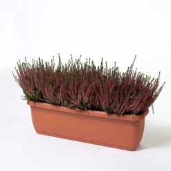 Cassetta Unica 40x20x16,4 cm in plastica terracotta