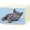 Cassetto in plastica Qbox Deco mini Animals 15,5x10,5x21 cm