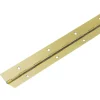 Cerniera a barra Hettich 600 mm x 20 mm acciaio ottonato