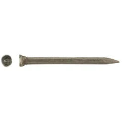 Chiodi semenza ferro lucido 10 mm 340 pz