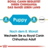 Cibo secco per cani Royal Canin Chihuahua Puppy 1,5 kg