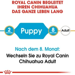 Cibo secco per cani Royal Canin Chihuahua Puppy 1,5 kg