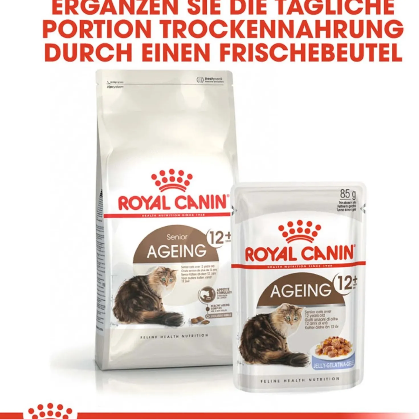 Cibo secco per gatti anziani Royal Canin + 12 anni 2 kg