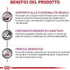 Cibo secco per gatti Royal Canin Renal 2 kg