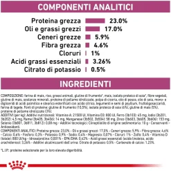 Cibo secco per gatti Royal Canin Renal 2 kg