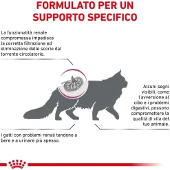 Cibo secco per gatti Royal Canin Renal 2 kg