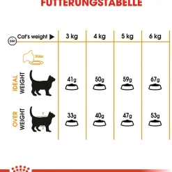 Cibo secco per gatti Royal Canin Hair & Skin Care 2 kg