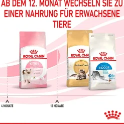 Cibo secco per gatti Royal Canin Kitten 2 kg