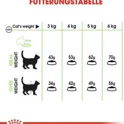 Cibo secco per gatti Royal Canin Digestive Care 400 g