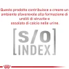 Cibo secco per gatti Royal Canin Hypoallergenic 2,5 kg