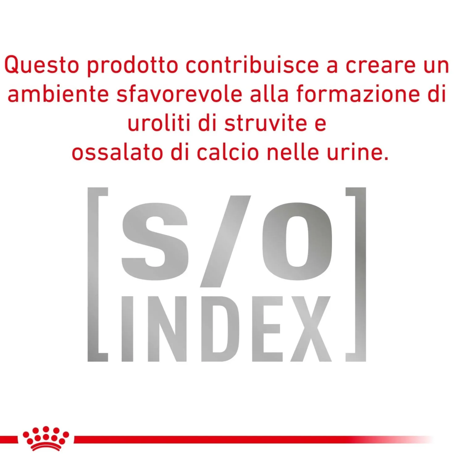 Cibo secco per gatti Royal Canin Hypoallergenic 2,5 kg