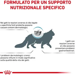 Cibo secco per gatti Royal Canin Hypoallergenic 2,5 kg