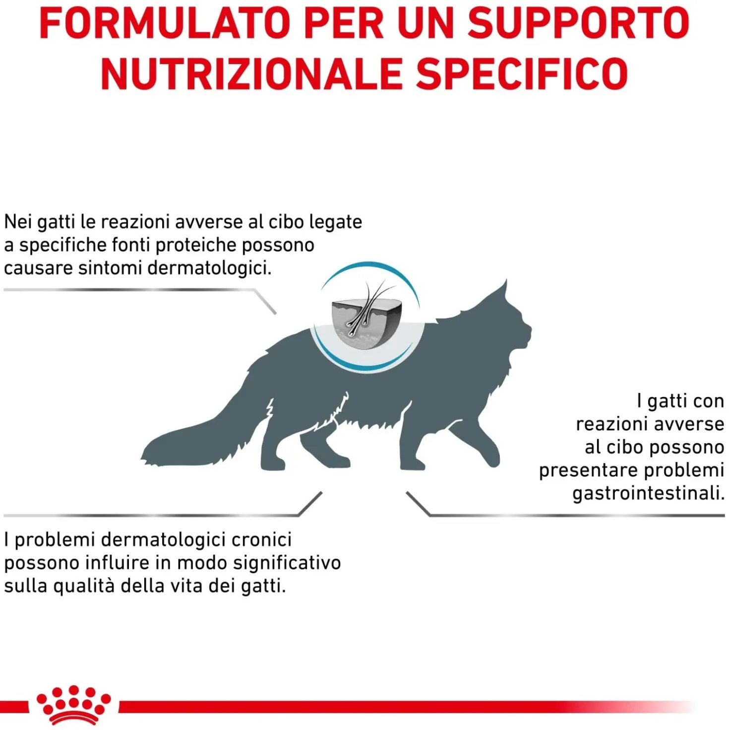 Cibo secco per gatti Royal Canin Hypoallergenic 2,5 kg
