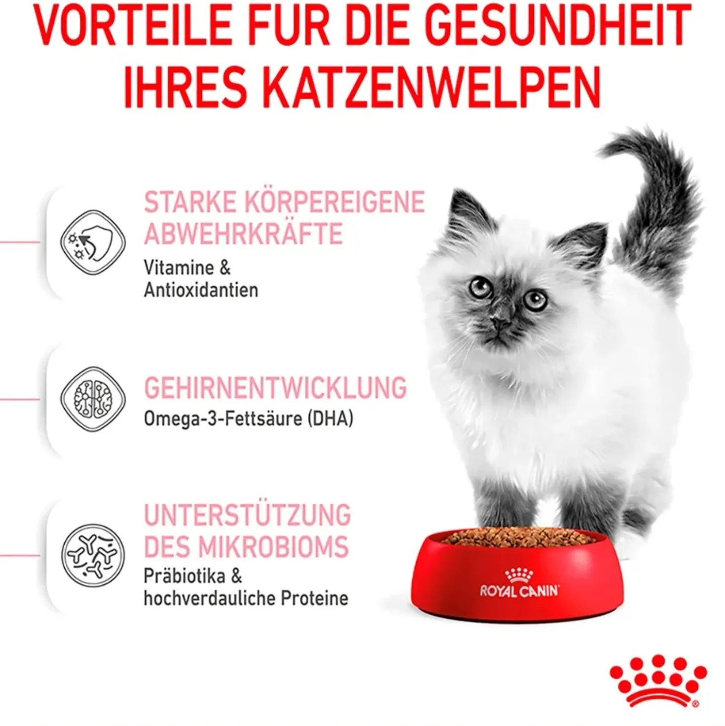Cibo secco per gatti Royal Canin Kitten 400 gr