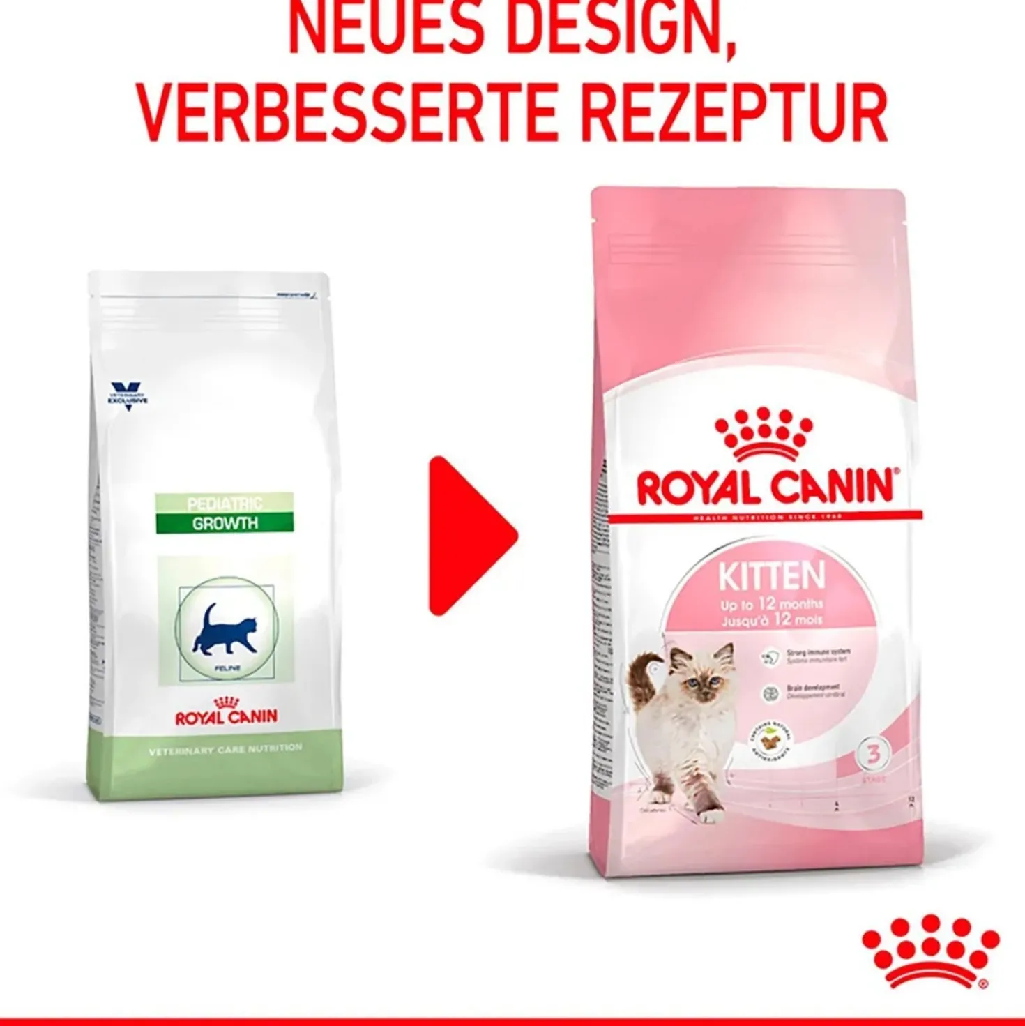 Cibo secco per gatti Royal Canin Kitten 400 gr