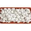 Ciottolo bianco Carrara 25-40 mm 20 kg
