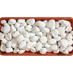 Ciottolo bianco Carrara 25-40 mm 20 kg