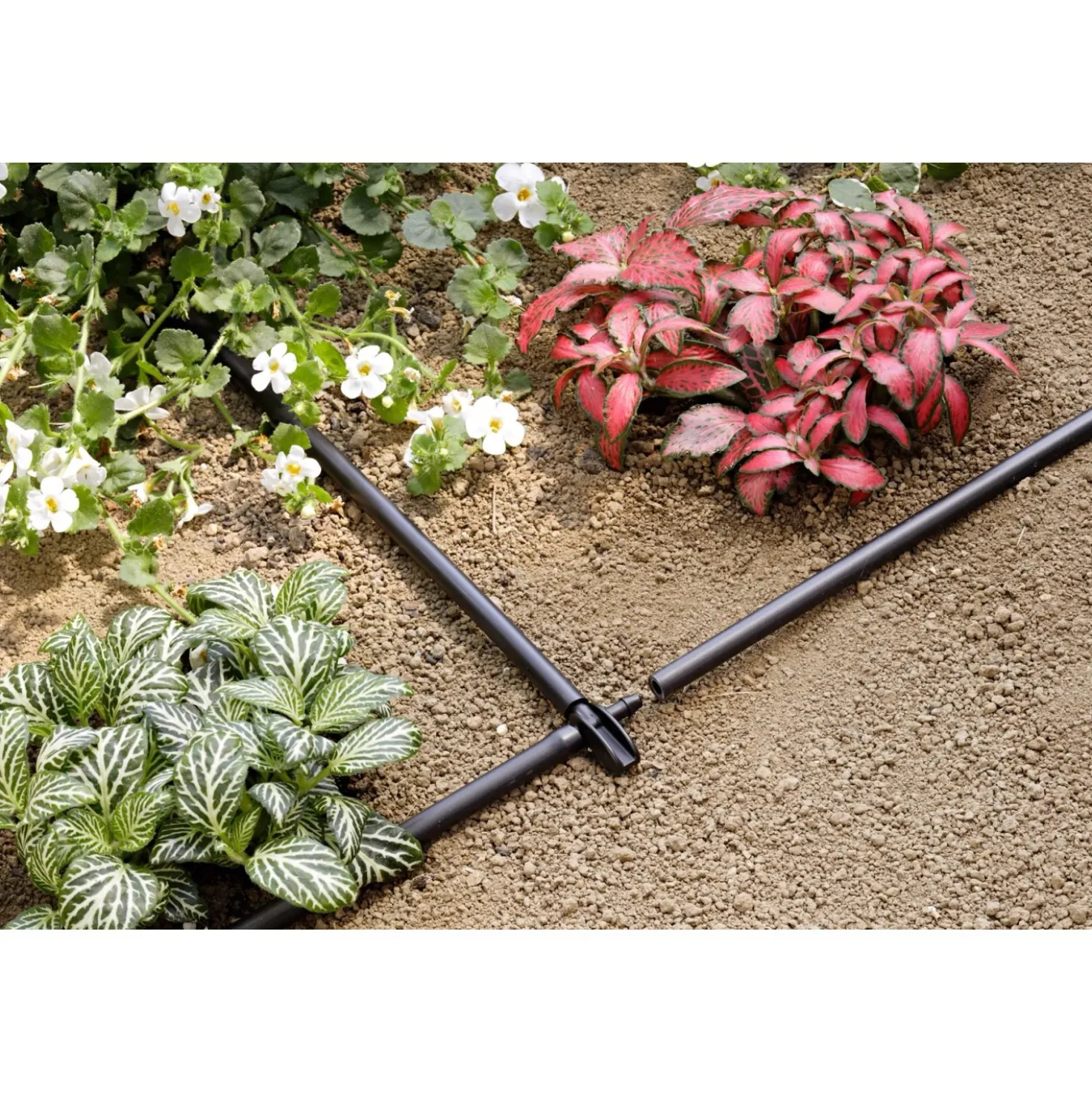 Claber raccordo a 3 vie Ø 1/4" (4-6 mm) 10 pz