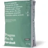 Colla per piastrelle gres adesivo minerale Pro S1 25 kg grigio