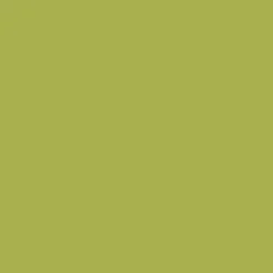 Colore acrilico Americana DA131 Hauser Light Green 59 ml