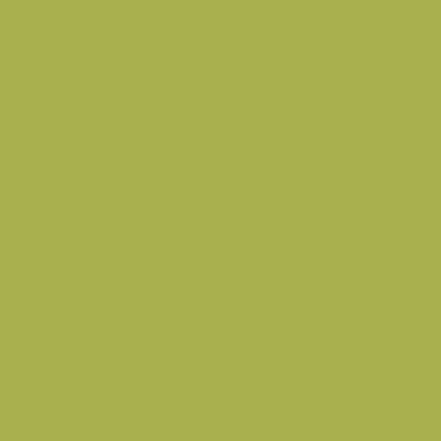 Colore acrilico Americana DA131 Hauser Light Green 59 ml